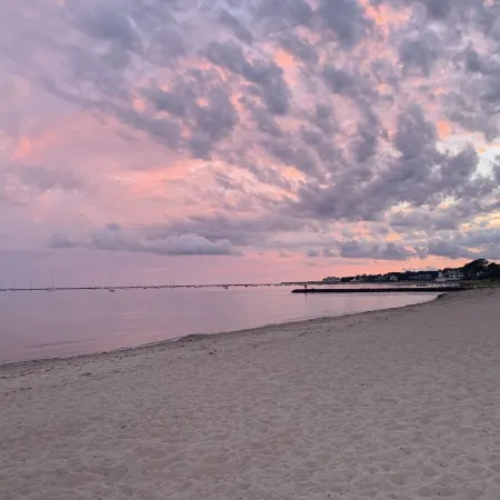 Charming Cottage in Hyannis Walk to Downtown, Beach, Harbor, Pet Friendly Fence