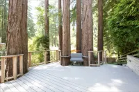 Sunny, downtown family oasis amongst the redwoods