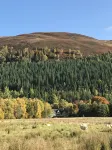 Rowan Cottage, CrannachCottages - Wi-Fi