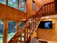 “Hollywood Nights”