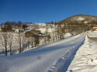 Apartment with Terrace in Chalet Hotels in Bussang