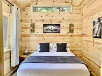 Cabin #4 Lake Nahwatzel Resort - New Tiny Cabin!