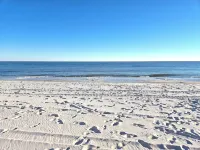 Premier Coastal Home - All Beach Equipment Provided! Pets stay FREE