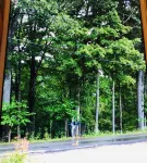 SkyGazers Delight. One of the Safest areas in Bloomington. Super easy access!!