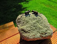 Vacation between nature and design