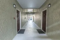 佛州克利爾沃特-阿瓦隆一層公寓