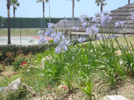 1st line of beach, urb Las Americas; Ideal for relaxation of the whole family