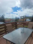 Walk to Downtown, Immaculate 2 Bed 2 Bath, Mountain Views, Deck-Grill-Wildlife
