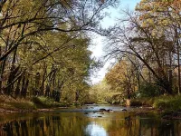 Snowmobilers, Hunters, and Adventurers…Welcome! Hotels in Florence County