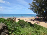 1BR/1BA Peaceful , relaxing , affordable Tropical South Maui Condo.