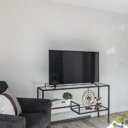 Entire 2BR 1Bath Apt “The Downtown Deneege”