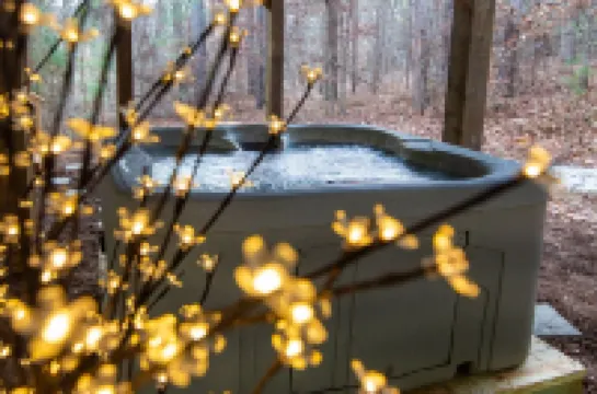 Romantic Escape in the Treetops w/ Outdoor Shower, Hot tub, & Firepit!