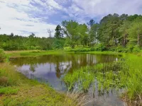 Mennonite Built Cabin on 81 acres surrounded by 30,000 acres of state park Hotels in Bledsoe County