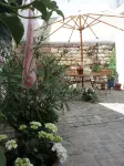 Cozy apartment in the middle of the wine region Southern Wine Route.