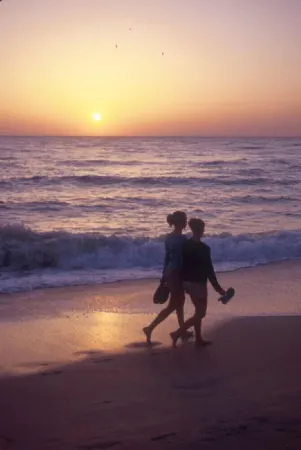 Walk to Nokomis Beach. Quality, Cleanliness, Affordable. SmartTV, Full Kitchen Отели рядом с достопримечательностью «Venice Myakka River Park»