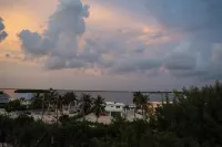 LaTeDa  Charming 4-bedroom house in Key Largo with Pool, Dock and optional Boat.