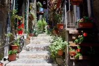 B&B la casa al vicolo - 20% discount for the first 2 reservations