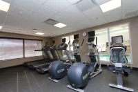 Hampton Inn & Suites by Hilton St. John's Airport - Gym