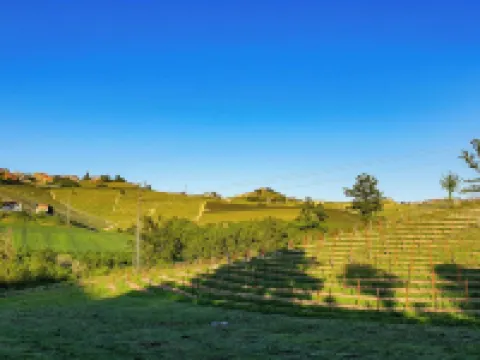 A vacation in the midst of nature just a stone's throw from Alba? Hotels in Alba