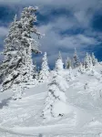 Great True Ski-in/Ski-Out condo next to Giant Steps Lodge and Tubing Hill.