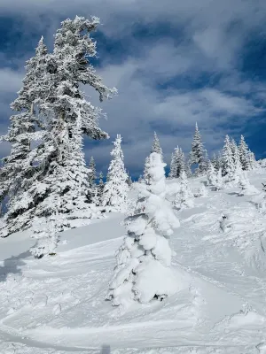 Great True Ski-in/Ski-Out condo next to Giant Steps Lodge and Tubing Hill.