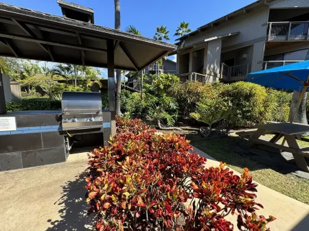 Recently Remodeled, Turtle House, Kanaloa at Kona, AC, 2 Bed Ocean View, #3406