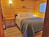 Relaxing Cabin Adjacent Olympic National Park / Forest & Beautiful Lake Cushman!