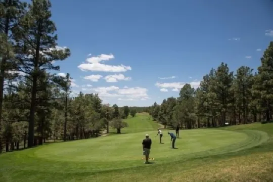 Spectacular Yard•Fire Pit•3 Blocks to Dwntn Williams Rt 66• Guest Favorite•