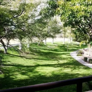 Views of Ventana Canyon Golf course and Desert Sunsets!