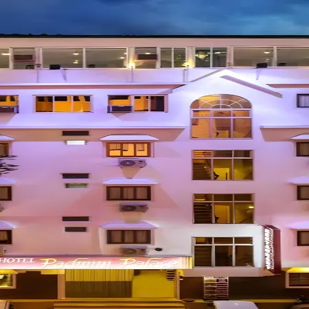 Hotel Padmini Palace