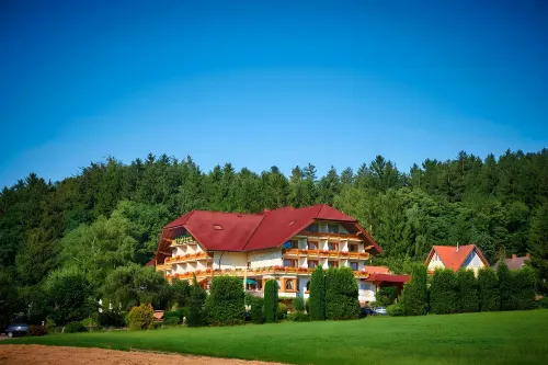 Silberkönig Schwarzwald Hotel & Restaurant Ringhotel فنادق في Waldkirch
