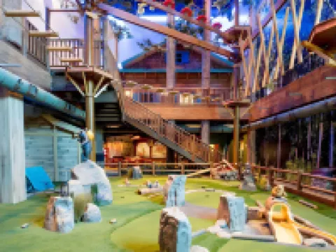 เกรทวูลฟ์ลอดจ์ อิลลินอย โรงแรมในGurnee