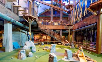 Great Wolf Lodge Chicago/Gurnee