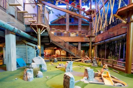 Great Wolf Lodge Chicago/Gurnee