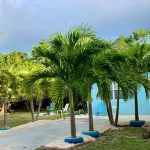 S1 BP Steps to Beach Free Upgrade 7-20 July Hotels in Grand Cayman