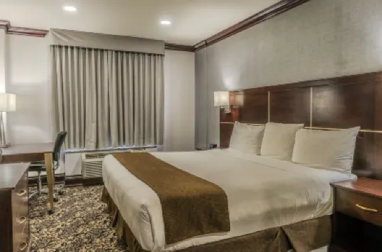 Woodbine Hotel & Suites Hotels near Humber College