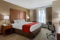 Comfort Inn Hotels in Marion