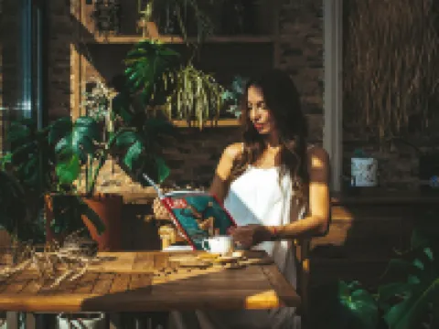 メスケン イン ホテル ギョジェクのホテル