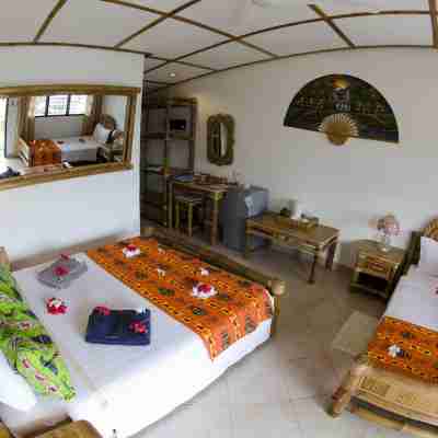 Dolphin House Resort Moalboal Rooms