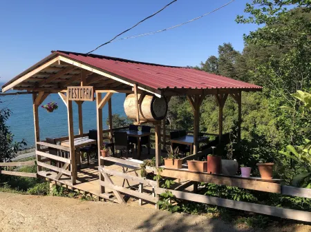 Yesil Vadi Apart Otel Отели в г. Findikli