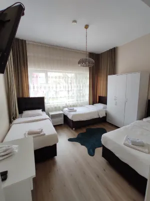 Limon Pansiyon Hotels in 