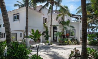 Alea Tulum