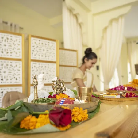 Maharishi Ayurveda-Boutique Wellness Retreat