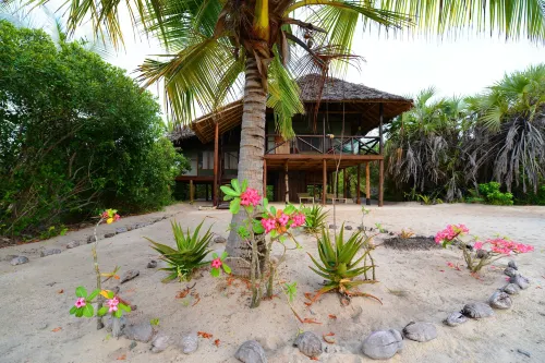 Simply Saadani Camp - 4 звезды