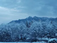 Grand Opening! 3-Bedroom Home- Close to Olympic National Park and Lake Quinault Hotels in Amanda Park