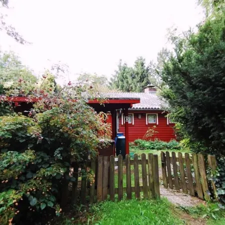 Very cozy Scandinavian log house in a quiet location on a large plot