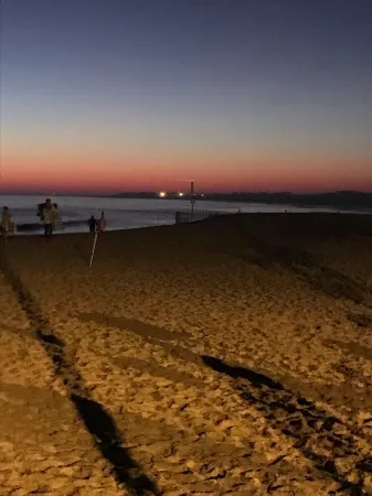 Fully Rennovated Beach Themed Apt Rental in Victorian Property