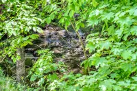 Mountainside 88 Hotel a Bristol