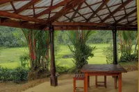 Forest & Fields Sinharaja