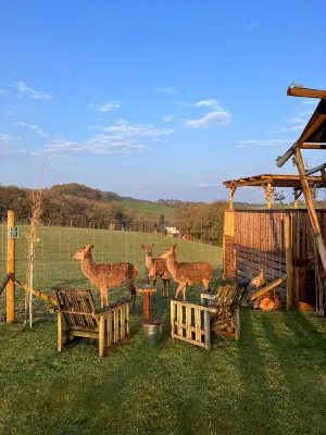 Luxury Safari Lodge-Sleeps 4 6-Deer Park-Dogs Ok - 3-Star